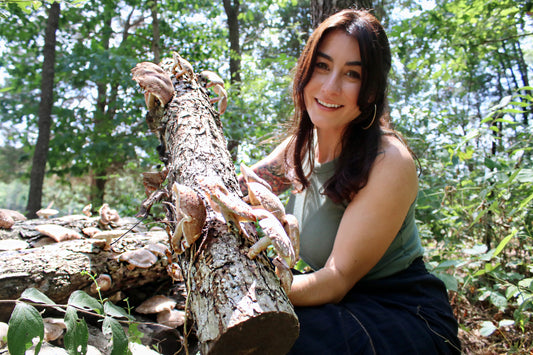 Shiitake Mushrooms: A Journey into Nature's Bounty