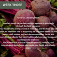 Load image into Gallery viewer, Growing For Your Health Online Workshops
