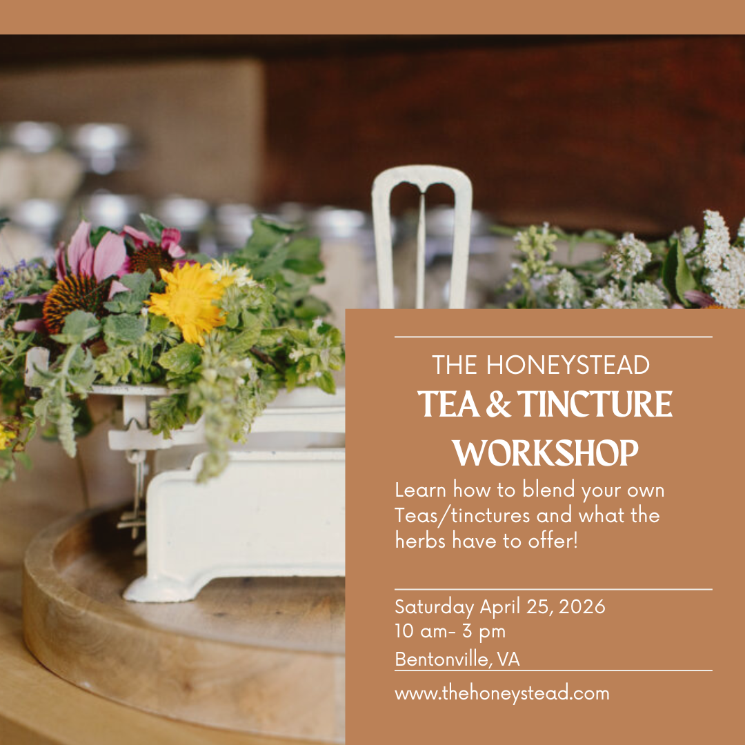 Tea & Tincture Workshop-In Person
