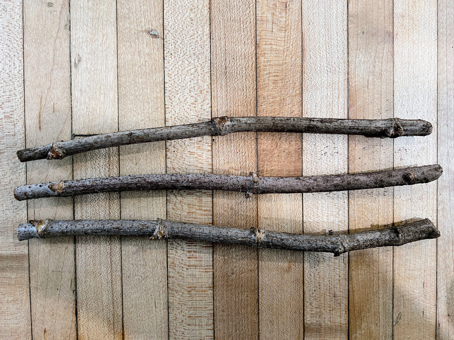 Starter Herb Garden Plant Bundle