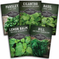 Load image into Gallery viewer, Herb Seeds Variety Pack – 5 Essential Culinary Herbs for Indoor or Outdoor Growing (Basil, Cilantro, Dill, Parsley & Lemon Balm) – Heirloom Non-GMO Garden Starter Kit
