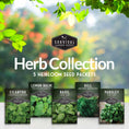 Load image into Gallery viewer, Herb Seeds Variety Pack – 5 Essential Culinary Herbs for Indoor or Outdoor Growing (Basil, Cilantro, Dill, Parsley & Lemon Balm) – Heirloom Non-GMO Garden Starter Kit
