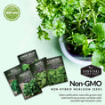 Load image into Gallery viewer, Herb Seeds Variety Pack – 5 Essential Culinary Herbs for Indoor or Outdoor Growing (Basil, Cilantro, Dill, Parsley & Lemon Balm) – Heirloom Non-GMO Garden Starter Kit