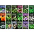 Load image into Gallery viewer, Medicinal Herb Garden Seed Collection – 18 Heirloom Non-GMO Varieties