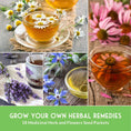 Load image into Gallery viewer, Medicinal Herb Garden Seed Collection – 18 Heirloom Non-GMO Varieties