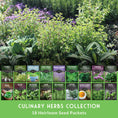 Load image into Gallery viewer, 18 Culinary Herb Seed Collection – Heirloom Herbs for Cooking, Teas, Remedies & Year-Round Kitchen Gardens