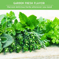 Load image into Gallery viewer, 18 Culinary Herb Seed Collection – Heirloom Herbs for Cooking, Teas, Remedies & Year-Round Kitchen Gardens