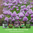 Load image into Gallery viewer, Culinary Herb Seed Collection – 5 Essential Kitchen Herbs for Indoor or Outdoor Growing
