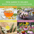 Load image into Gallery viewer, Medicinal Herb Garden - 36 Heirloom Seed Varieties for a Wellness Garden