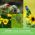 Load image into Gallery viewer, Native Habitat Seed Collection – 24 Native Wildflowers & Grasses for Pollinators, Meadows & Low-Maintenance Landscapes