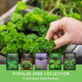 Load image into Gallery viewer, Popular Herb Seed Collection – 5 Heirloom Non-GMO Herbs for Culinary & Garden Use (Spearmint, Basil, Cilantro, Lavender & Parsley) – Indoor or Outdoor Growing Kit