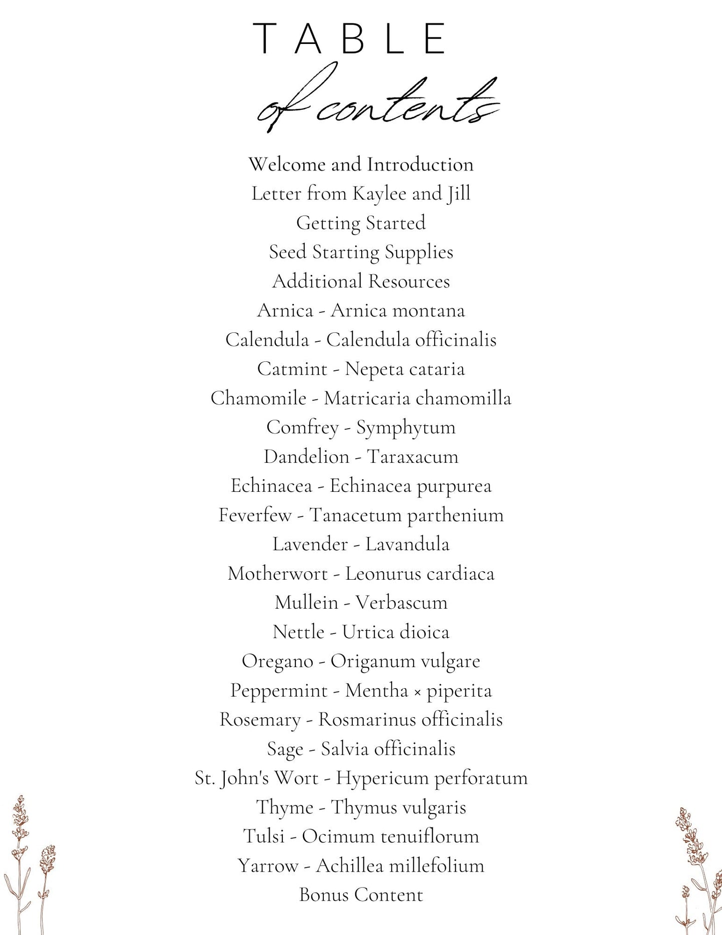 A Beginner Guide to Growing a Medicinal Garden (E-Book)