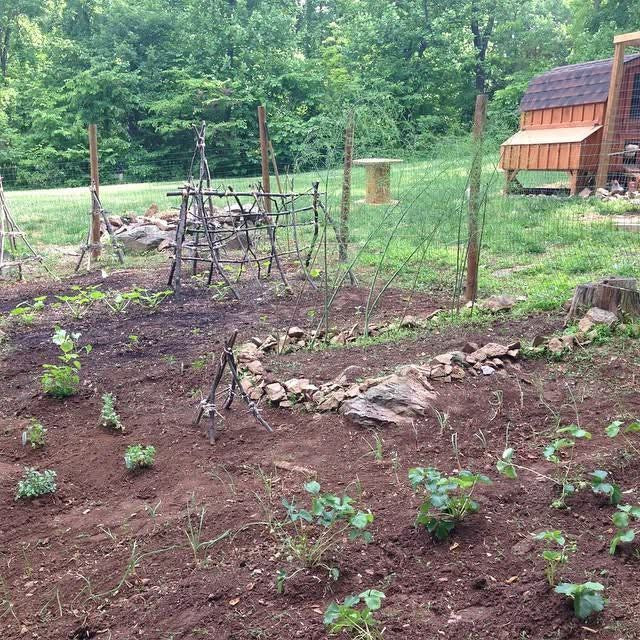Planting What Lasts