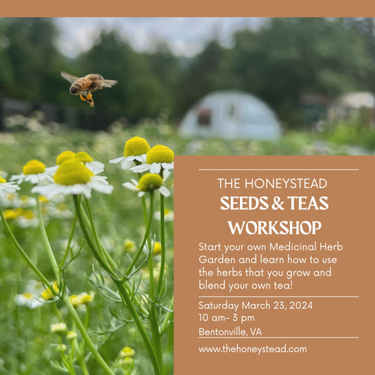 Seeds and Teas Workshop