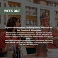 Load image into Gallery viewer, Rooted Wellness Online Workshops (Replay Access)

