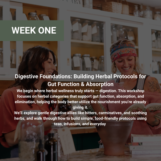 Rooted Wellness Online Workshops (Replay Access)