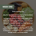 Load image into Gallery viewer, Growing For Your Health Online Workshops
