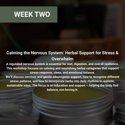 Rooted Wellness Online Workshops (Limited Offer)