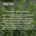 Load image into Gallery viewer, Growing For Your Health Online Workshops
