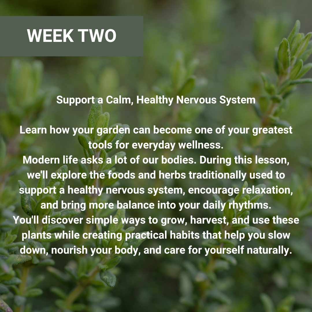 Growing For Your Health Online Workshops