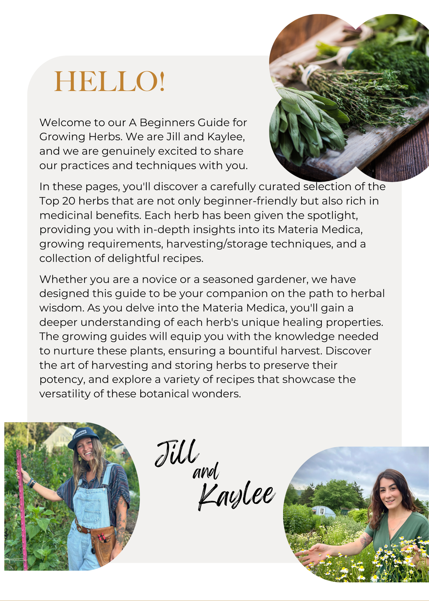 A Beginner Guide to Growing a Medicinal Garden (E-Book)