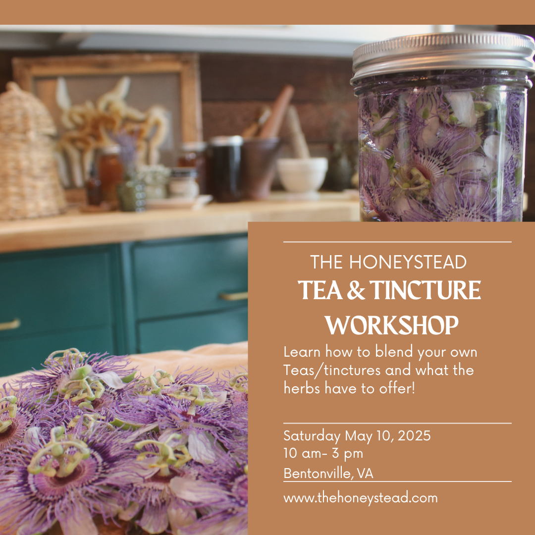 Tea & Tincture Workshop