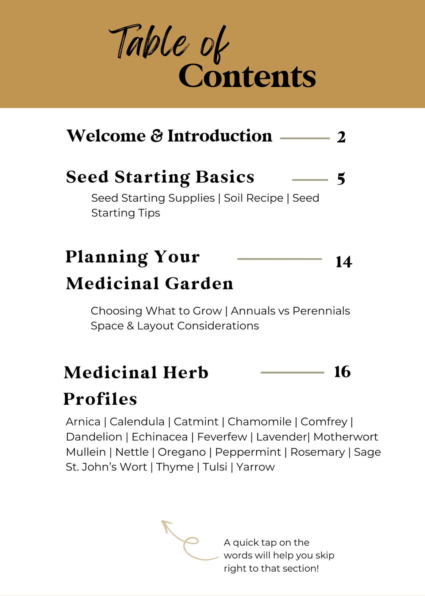 A Beginner Guide to Growing a Medicinal Garden (E-Book)