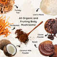 Load image into Gallery viewer, Bee Attuned Mushroom Blend
