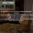 Load image into Gallery viewer, Rooted Wellness Online Workshops (Replay Access)

