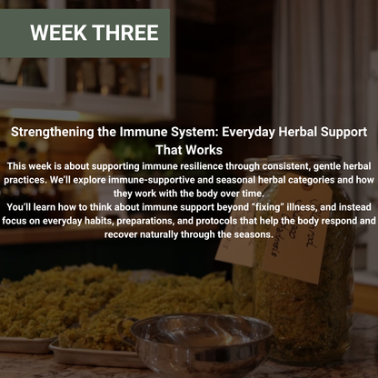 Rooted Wellness Online Workshops (Limited Offer)