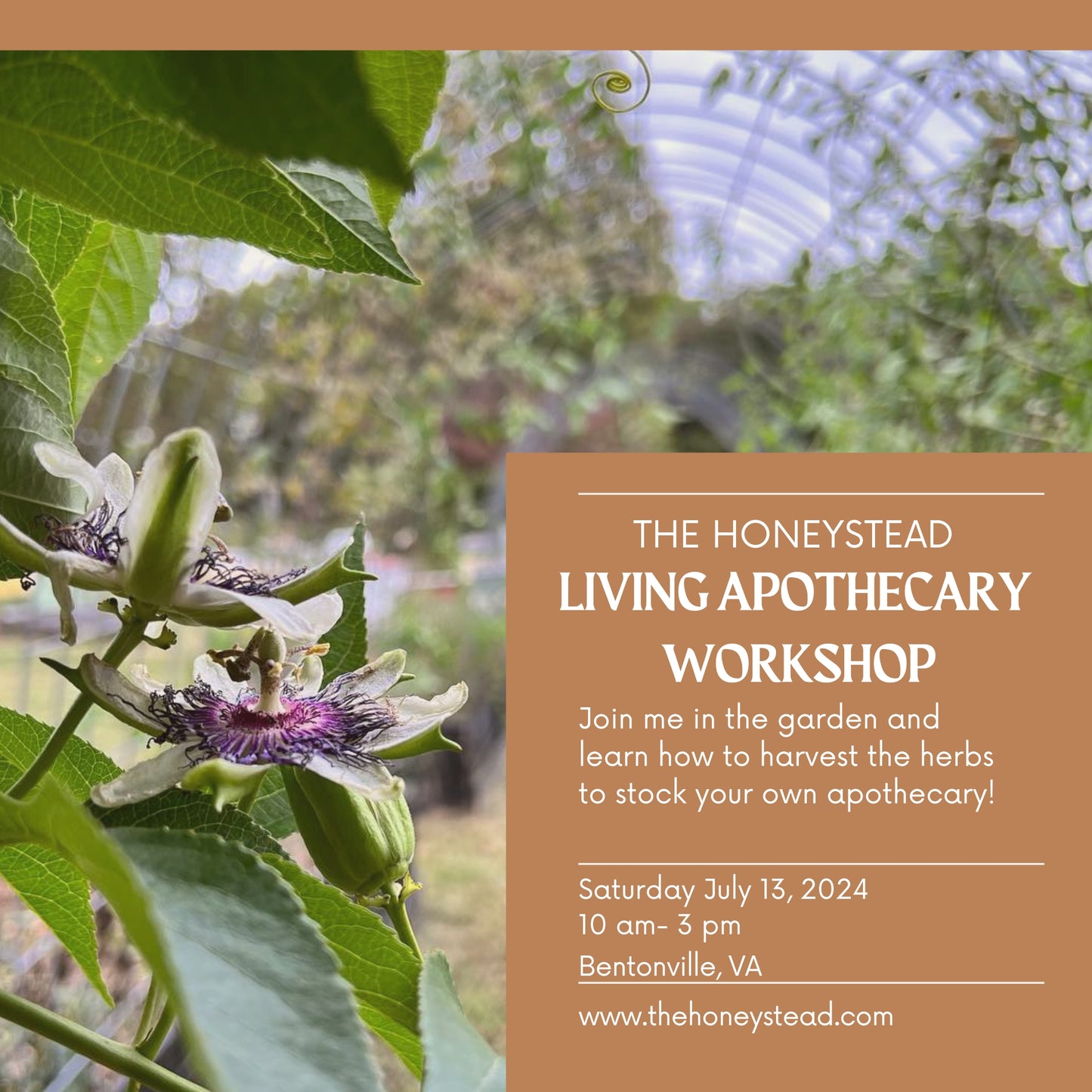 The Living Apothecary Workshop