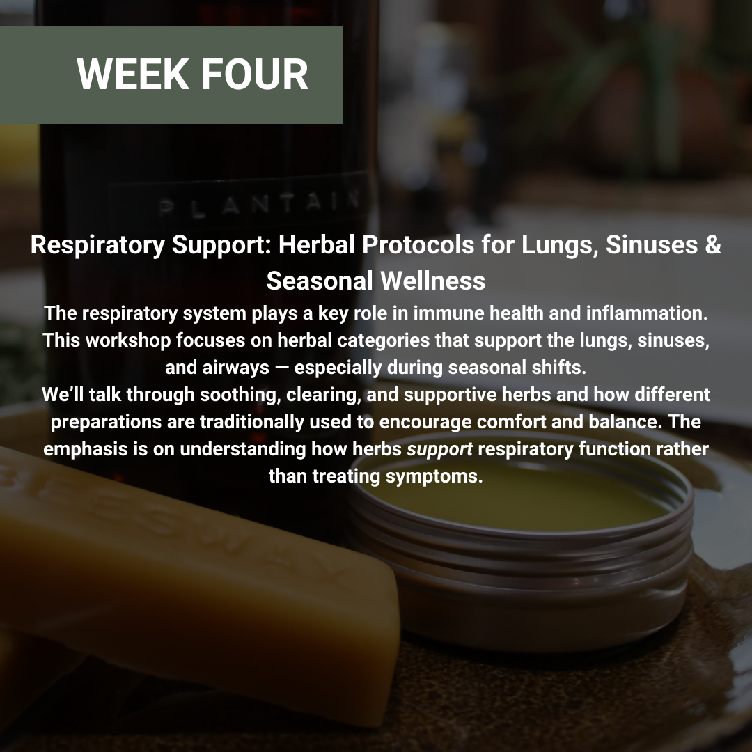 Rooted Wellness Online Workshops (Replay Access)