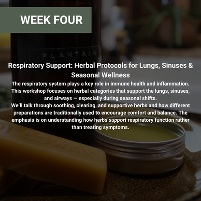 Rooted Wellness Online Workshops (Limited Offer)