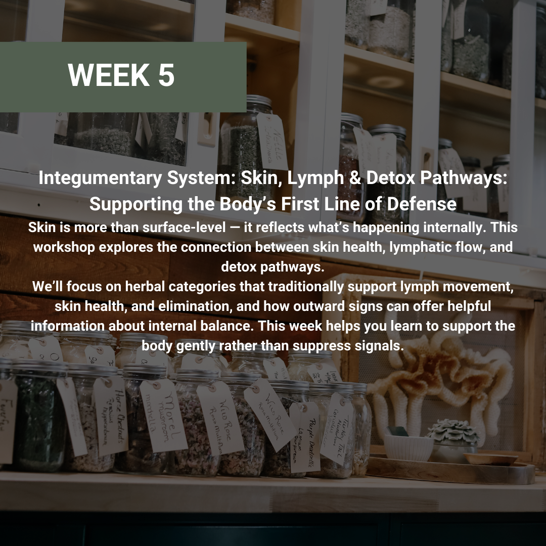 Rooted Wellness Online Workshops (Limited Offer)