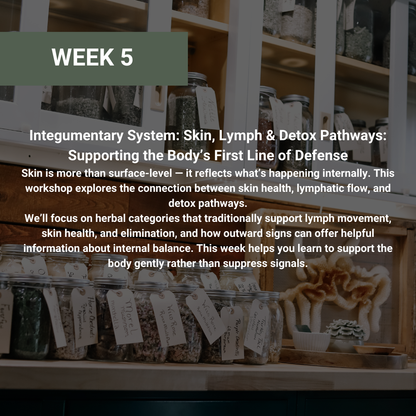 Rooted Wellness Online Workshops (Limited Offer)