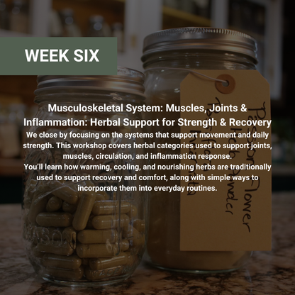 Rooted Wellness Online Workshops (Limited Offer)