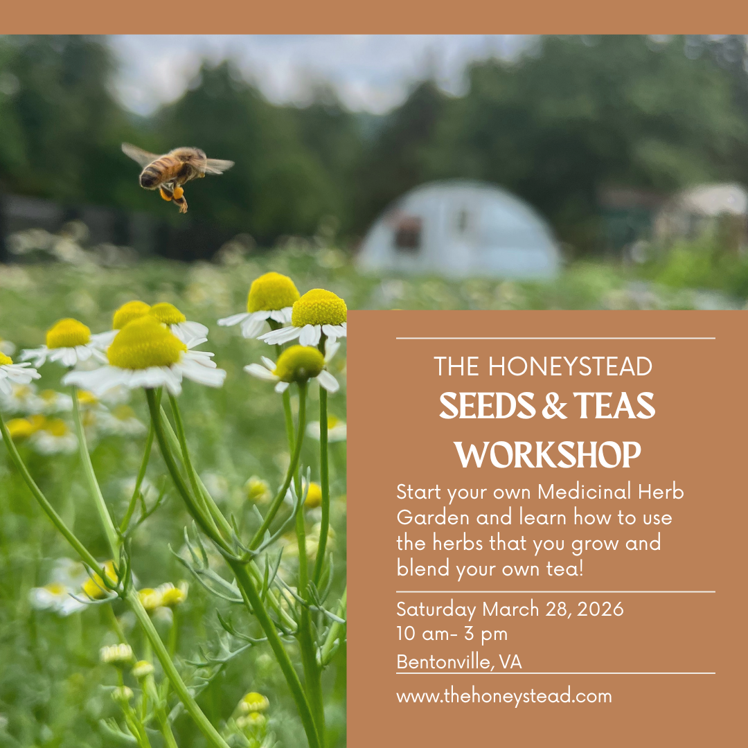 Seeds & Teas Workshop-In Person