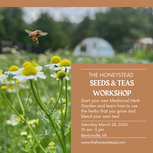 Seeds & Teas Workshop-In Person