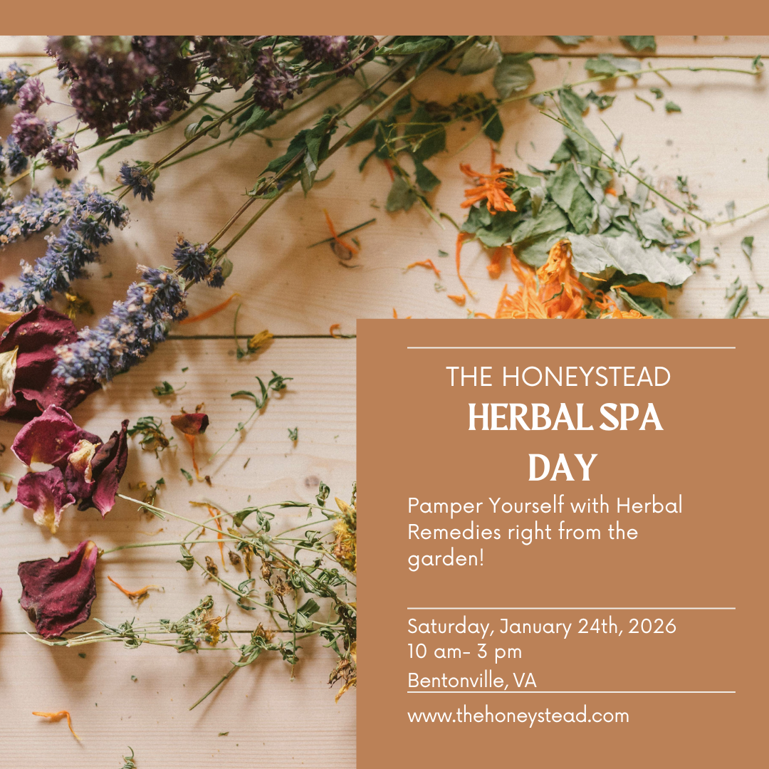 Herbal Spa Day Workshop-In Person