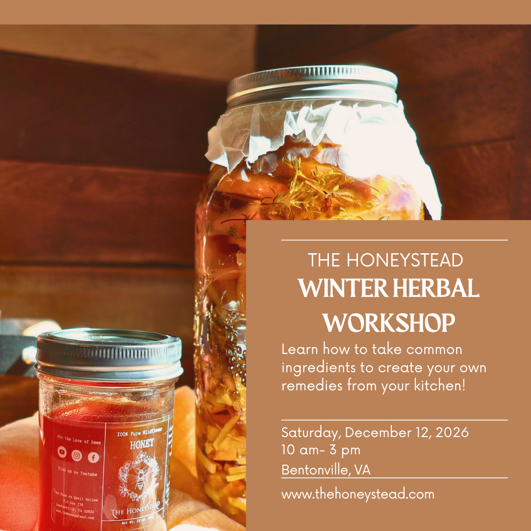 Winter Herbal Workshop In-Person