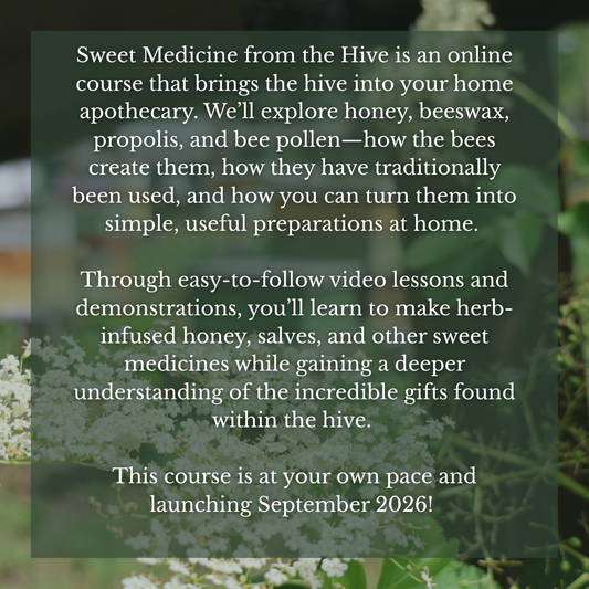 Sweet Medicine From The Hive- Online Course (EARLY ENROLLMENT NOW OPEN)