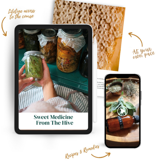 Sweet Medicine From The Hive- Online Course (EARLY ENROLLMENT NOW OPEN)