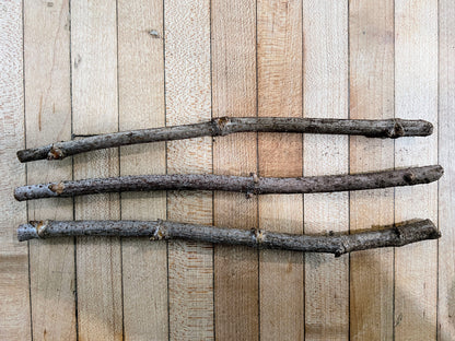 Starter Herb Garden Plant Bundle