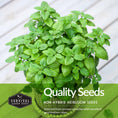 Load image into Gallery viewer, Herb Seeds Variety Pack – 5 Essential Culinary Herbs for Indoor or Outdoor Growing (Basil, Cilantro, Dill, Parsley & Lemon Balm) – Heirloom Non-GMO Garden Starter Kit

