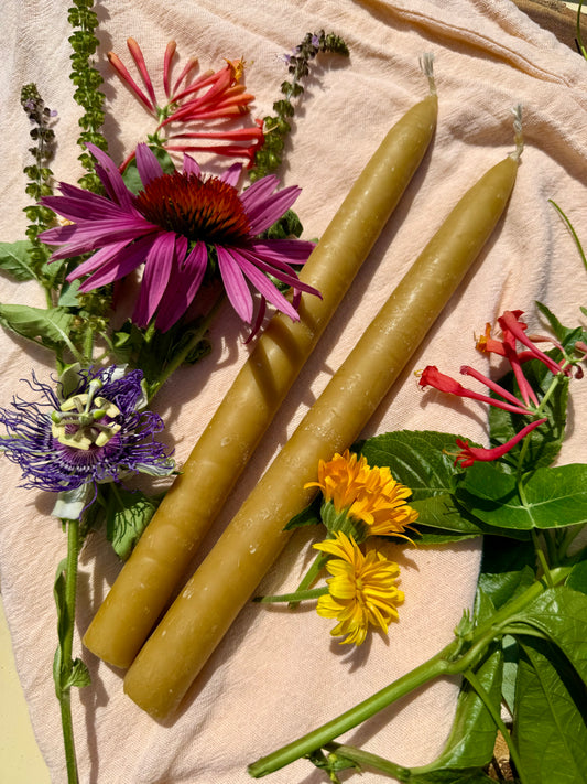 Beeswax Taper Candles