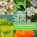 Load image into Gallery viewer, Medicinal Herb Garden Seed Collection – 18 Heirloom Non-GMO Varieties
