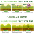 Load image into Gallery viewer, Native Habitat Seed Collection – 24 Native Wildflowers & Grasses for Pollinators, Meadows & Low-Maintenance Landscapes
