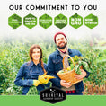 Load image into Gallery viewer, Culinary Herb Seed Collection – 5 Essential Kitchen Herbs for Indoor or Outdoor Growing
