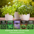 Load image into Gallery viewer, Popular Herb Seed Collection – 5 Heirloom Non-GMO Herbs for Culinary & Garden Use (Spearmint, Basil, Cilantro, Lavender & Parsley) – Indoor or Outdoor Growing Kit
