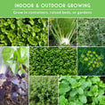 Load image into Gallery viewer, 18 Culinary Herb Seed Collection – Heirloom Herbs for Cooking, Teas, Remedies & Year-Round Kitchen Gardens
